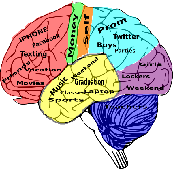Teenage Brain Concepts Illustration PNG