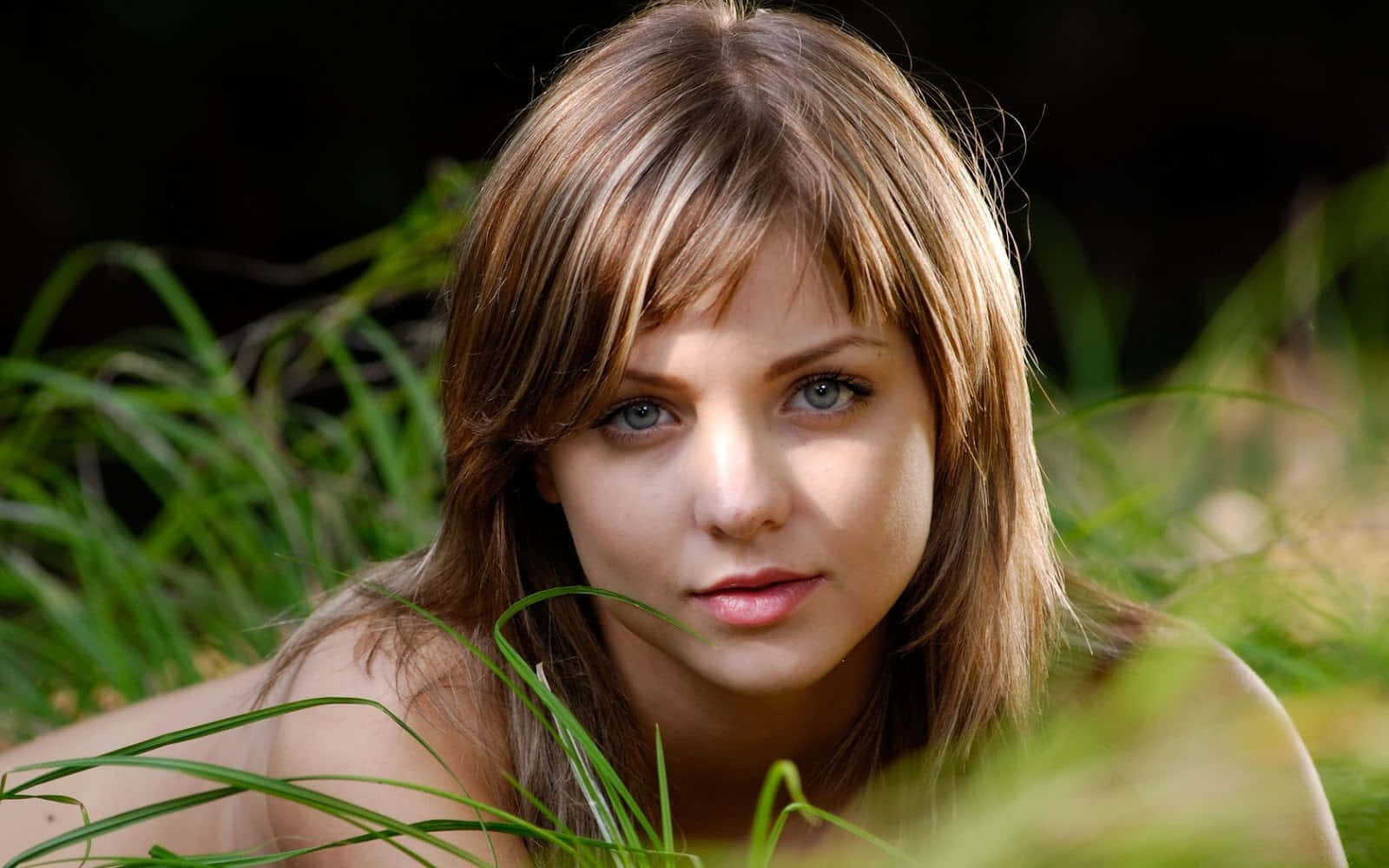 Den unge pige i græs billeder