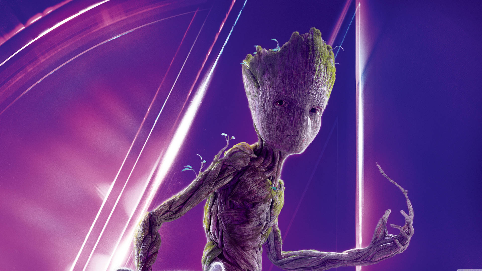 Free Groot Wallpaper Downloads, [100+] Groot Wallpapers for FREE |  