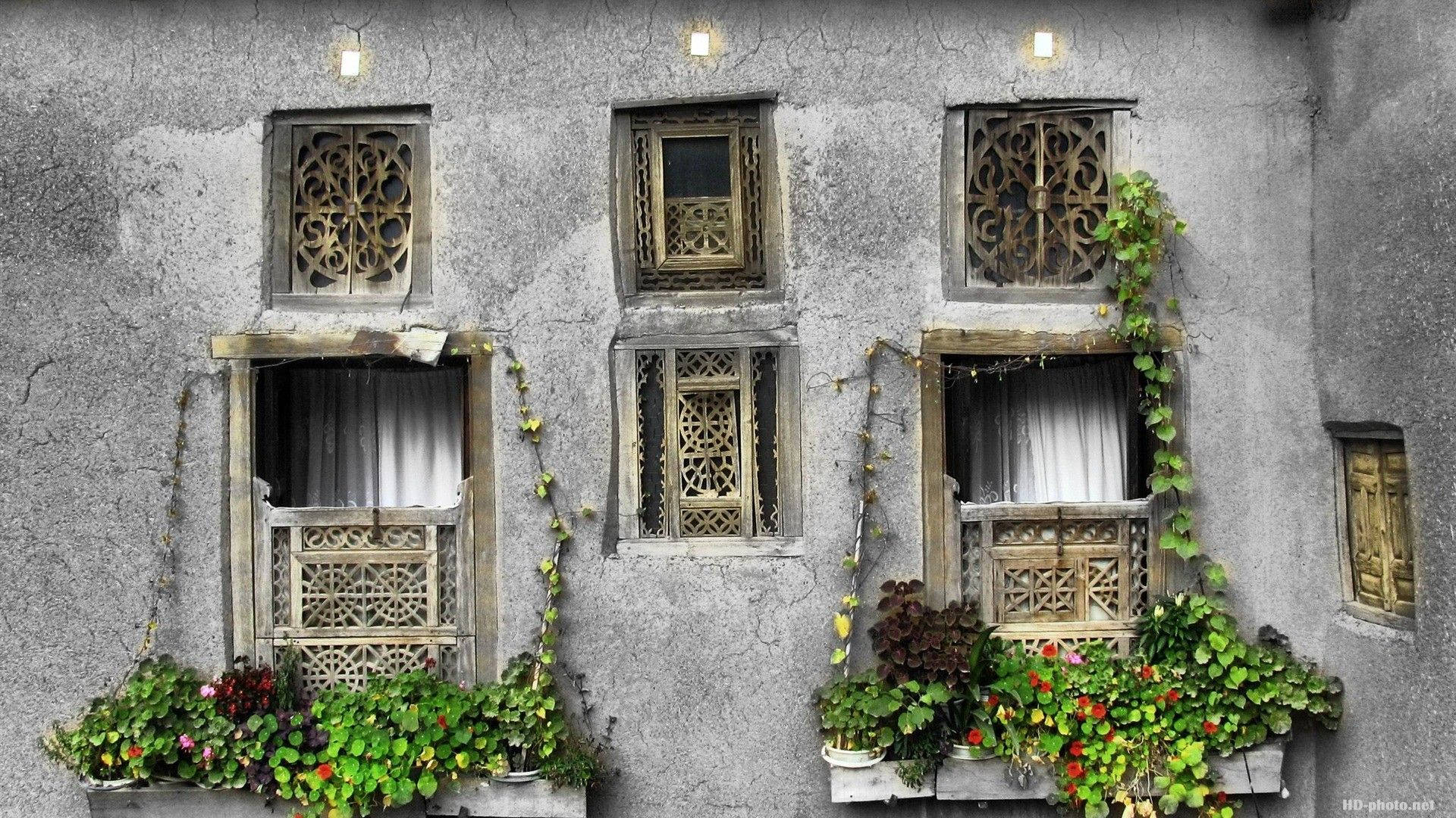 Tehran Window Designs Wallpaper