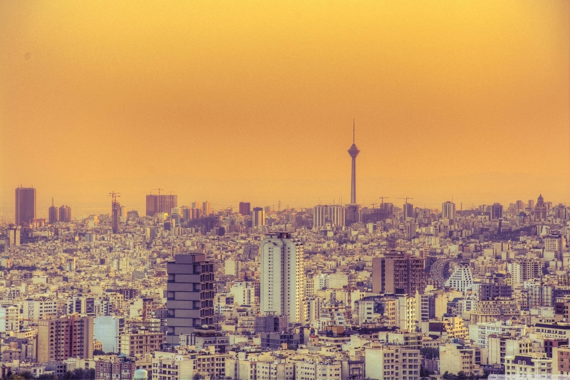 Teheran gul himmel mint tapeter Wallpaper