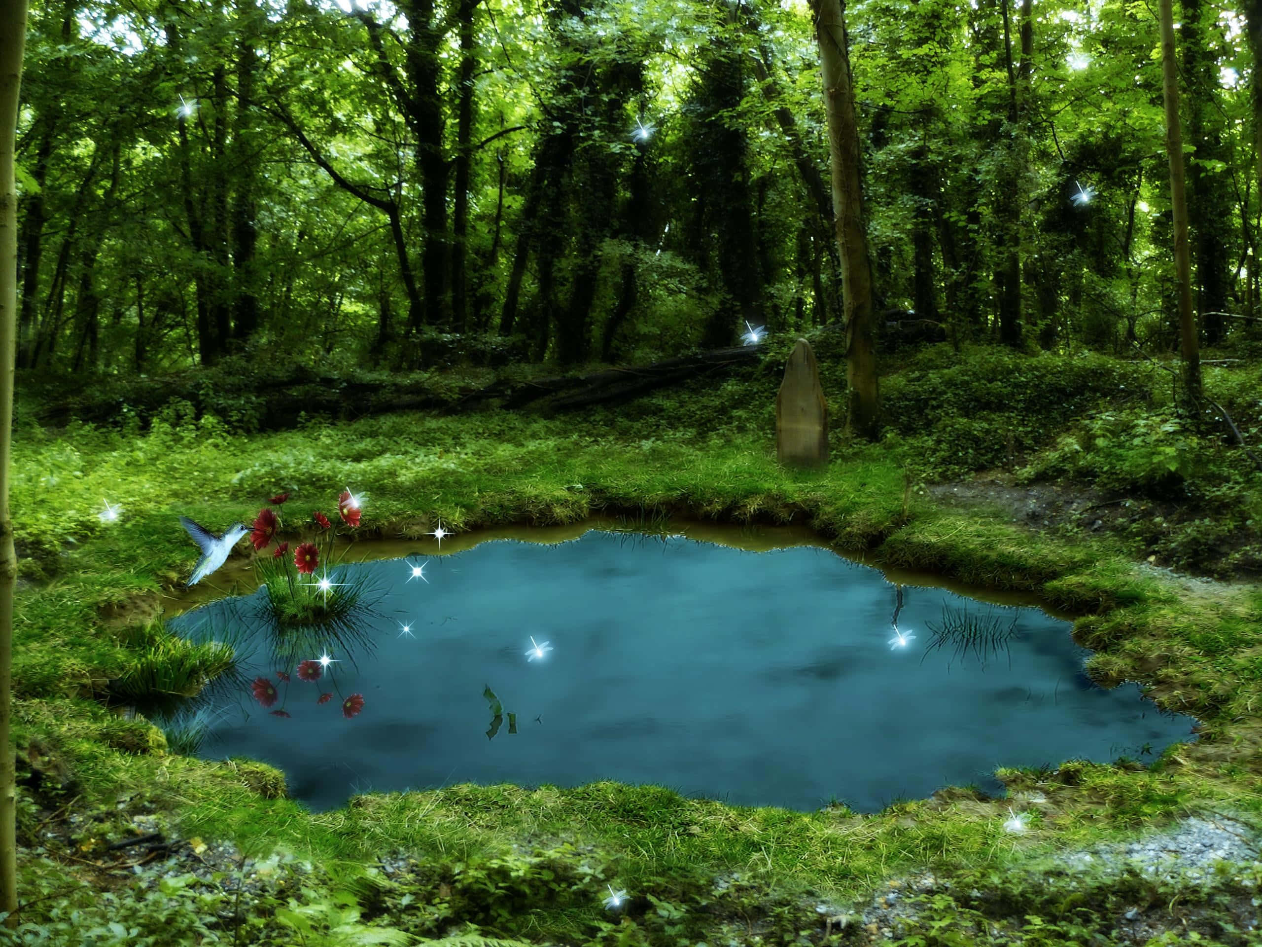 Mysterious Pond In Forest Wallpaper — A serene forest pond surrounded by lush greenery with glowing fairy lights and red flowers near the water's edge.