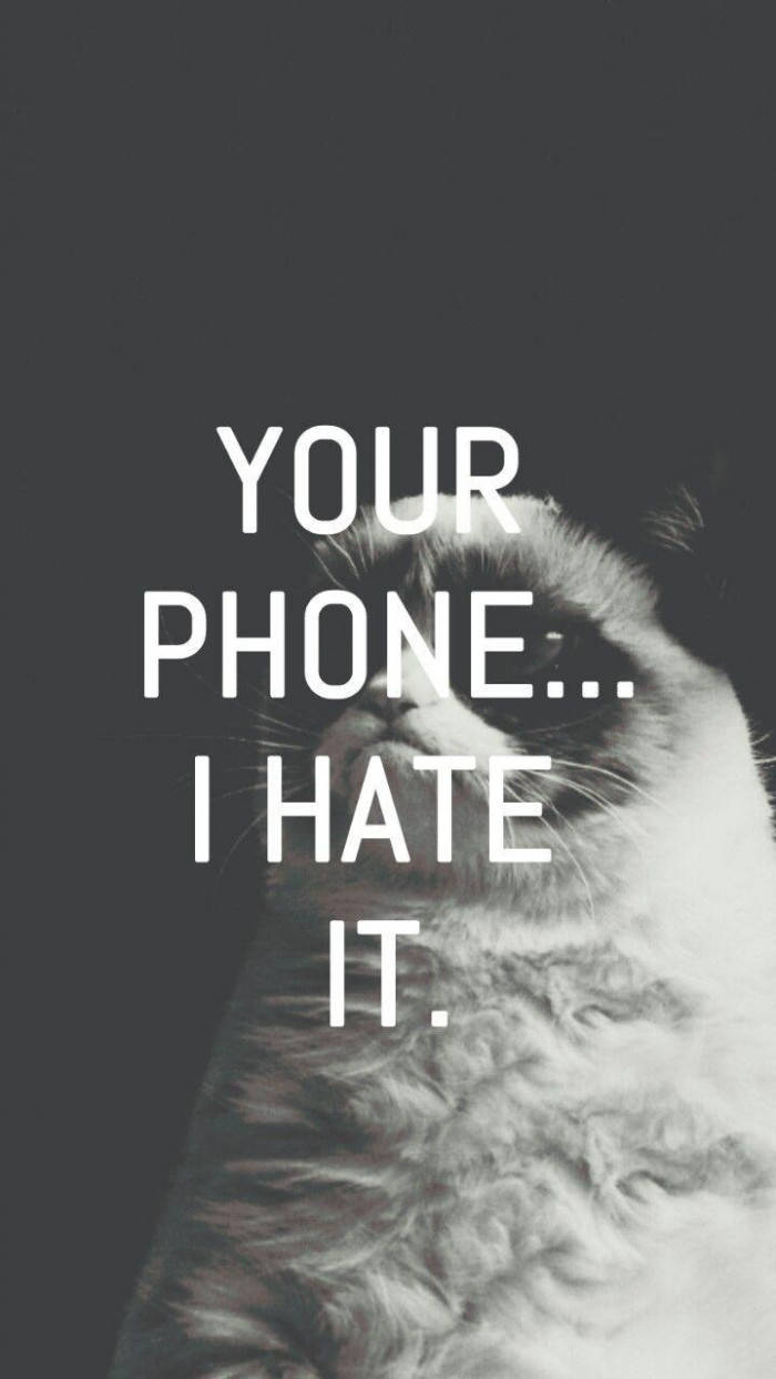 Telefone Engraçado Grumpy Cat Papel de Parede