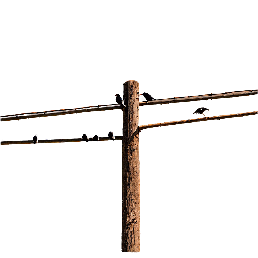 Telephone Pole With Birds Png 06132024 PNG