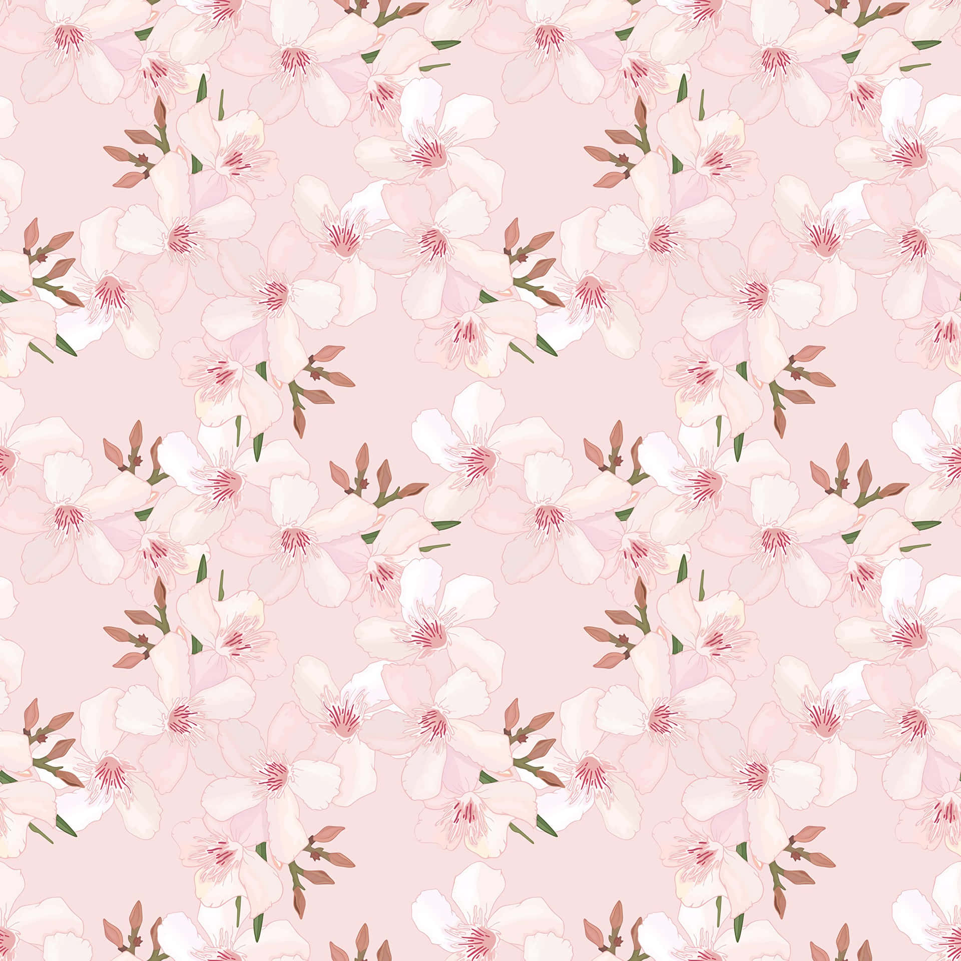 Tender Pink Cherry Blossoms Wallpaper