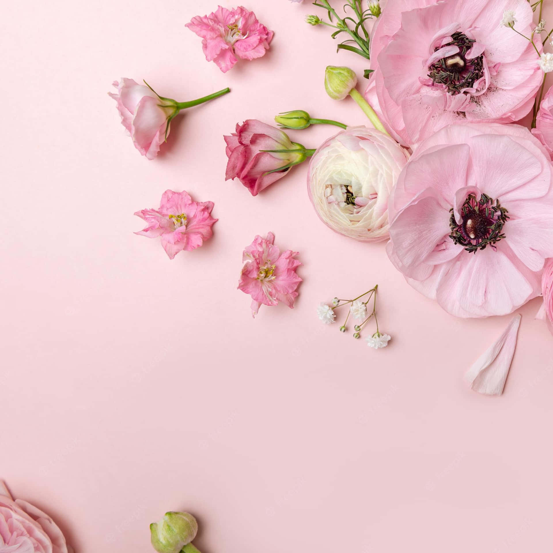 Tender Pink Floral Arrangement Wallpaper