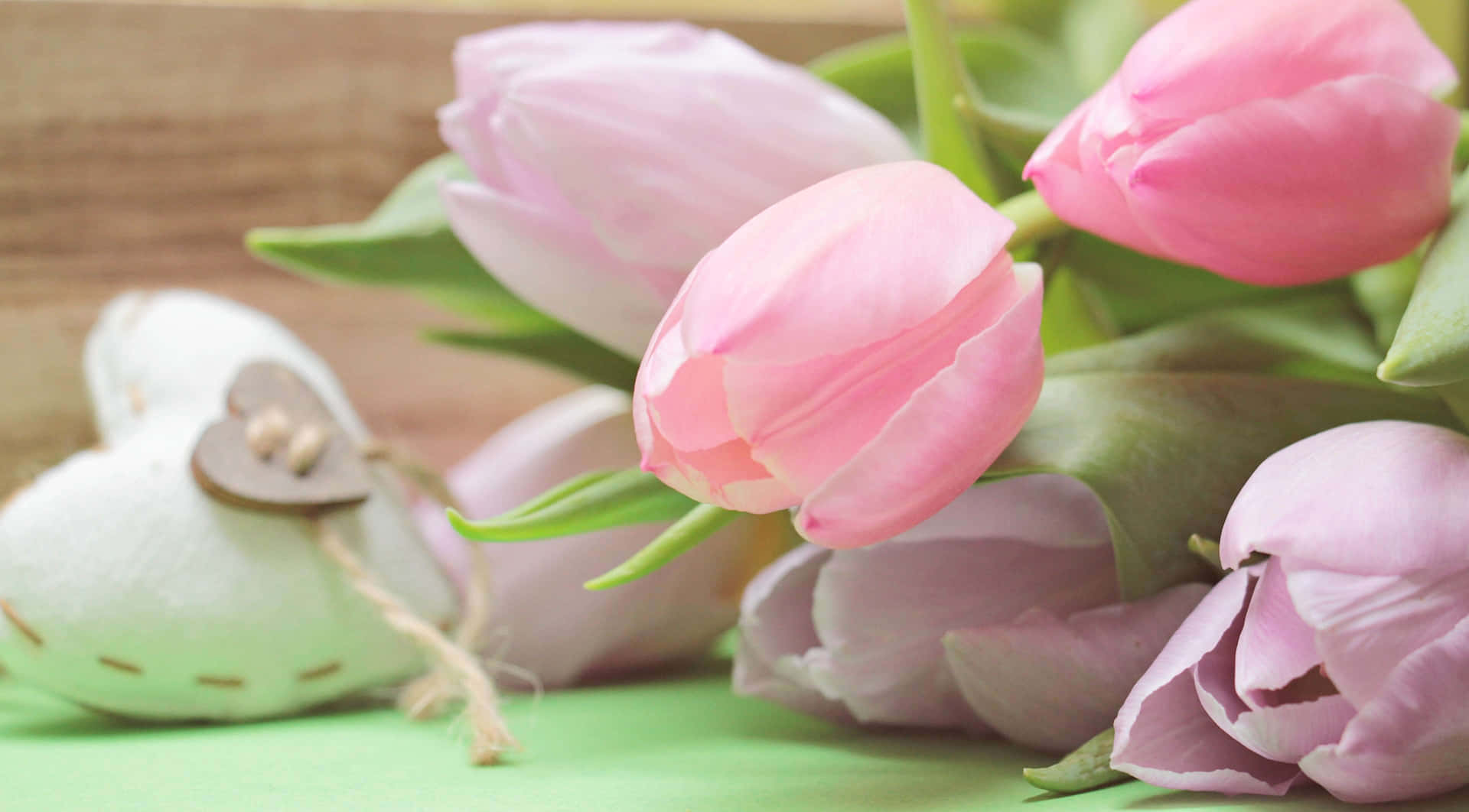Tender Pink Tulips Wallpaper