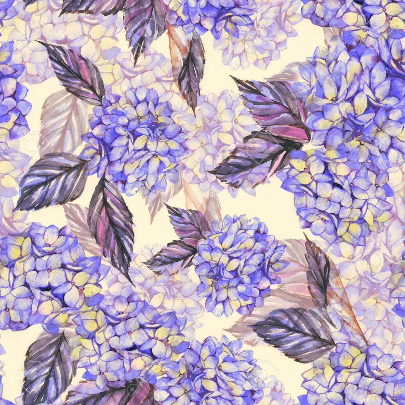 Tender Violet Hydrangea Wallpaper