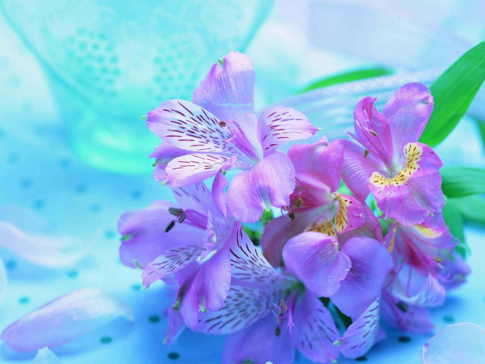 Tender Violet Lilies Wallpaper