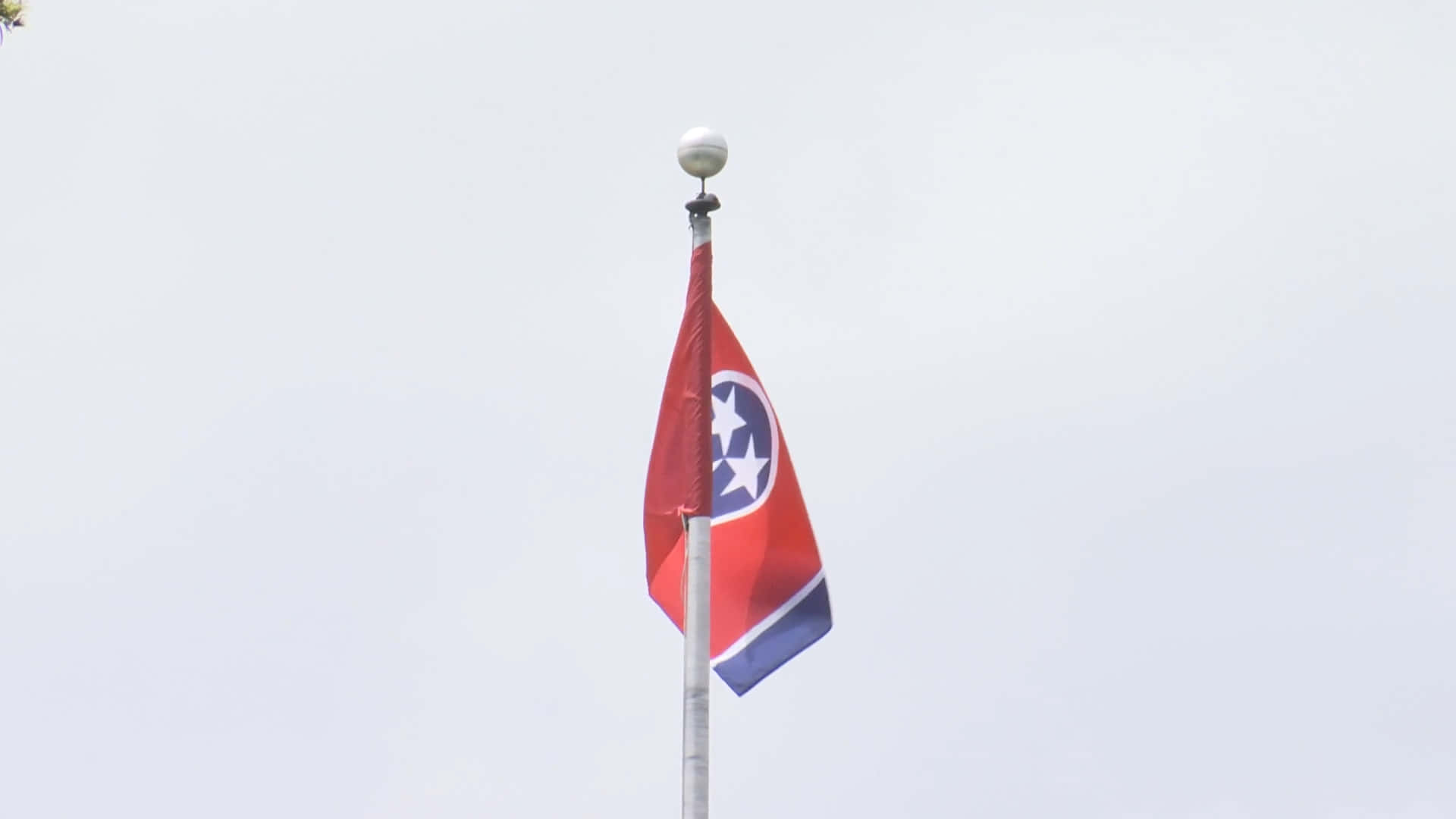 Flaggornaför Delstaten Tennessee Wallpaper