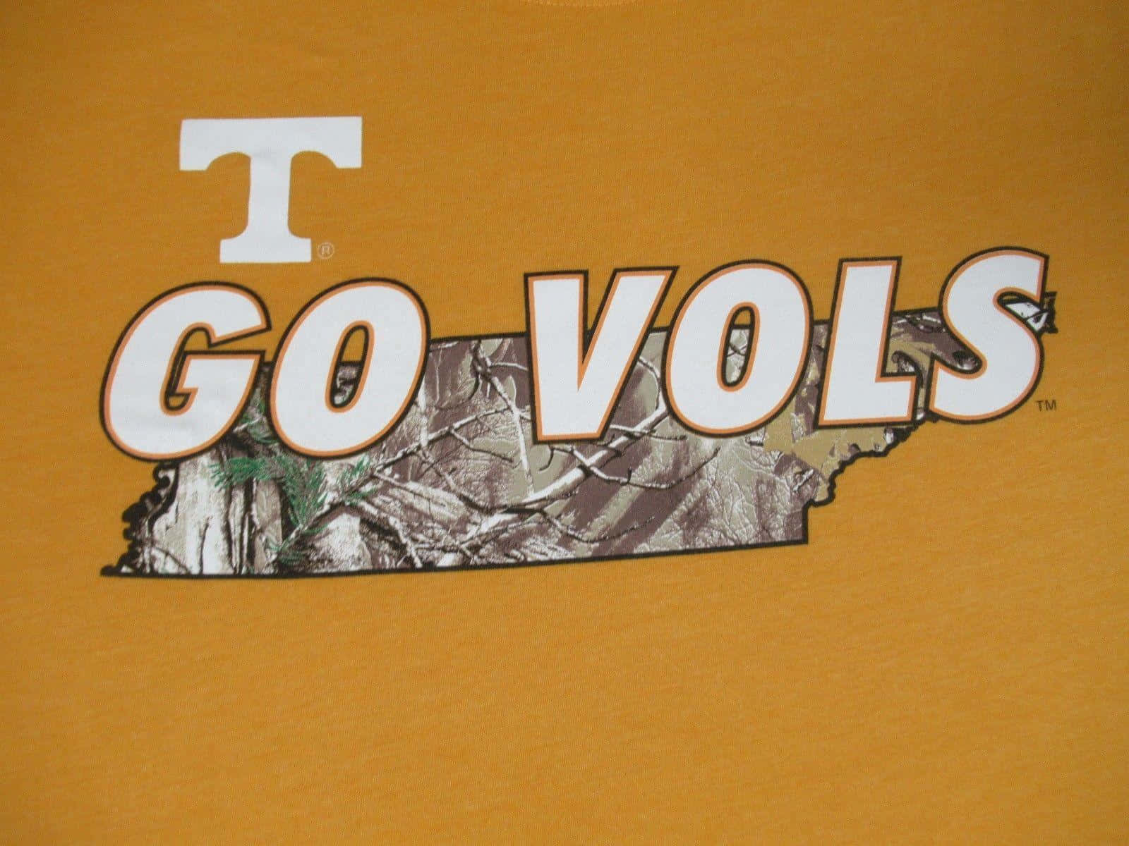 Ståendestolt I Tennessee-orange Och Vitt. Wallpaper