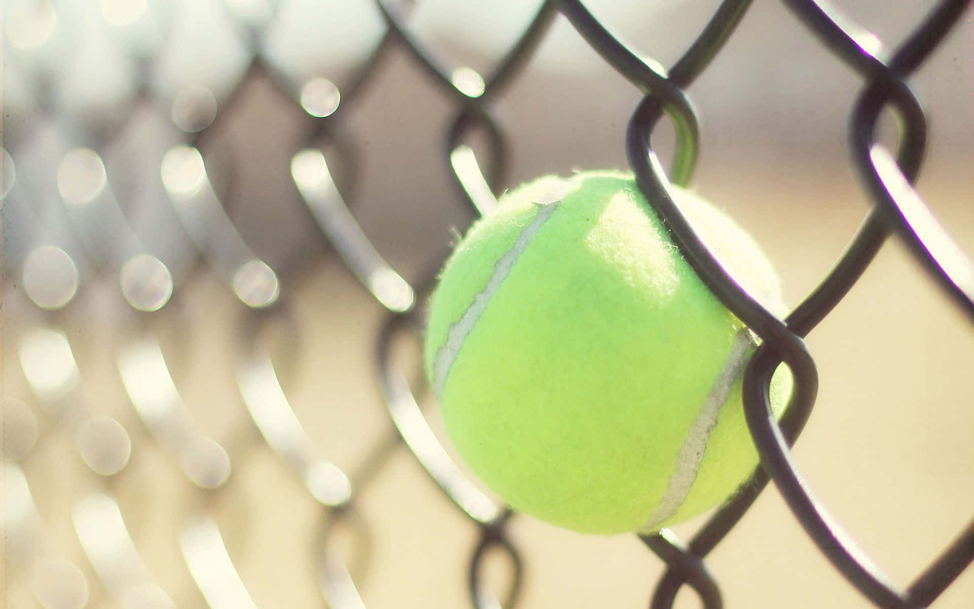 A Tennis Ball Is Hanging From A Fence Wallpaper