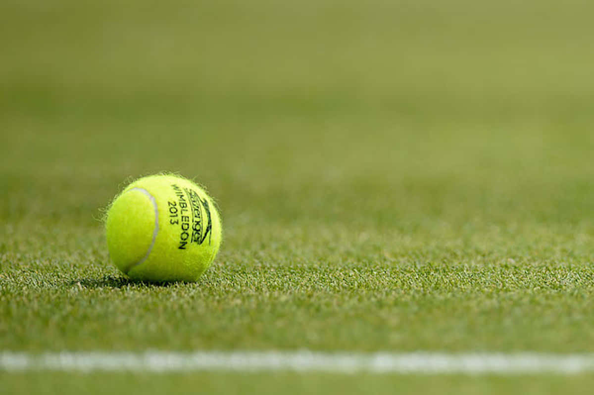A Tennis Ball On The Grass Wallpaper