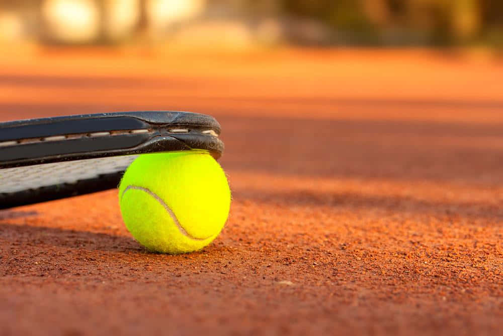 Ready, set, serve: the tennis ball awaits your serve. Wallpaper