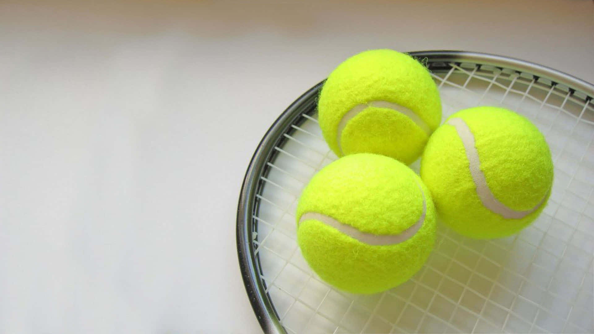 Tennis Ball is Ready to be Served Wallpaper