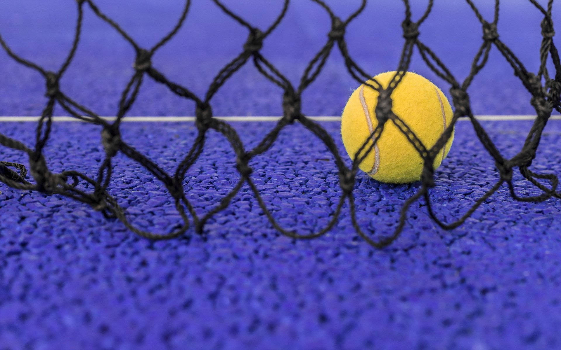 Tennis Ball Behind Net Wallpaper