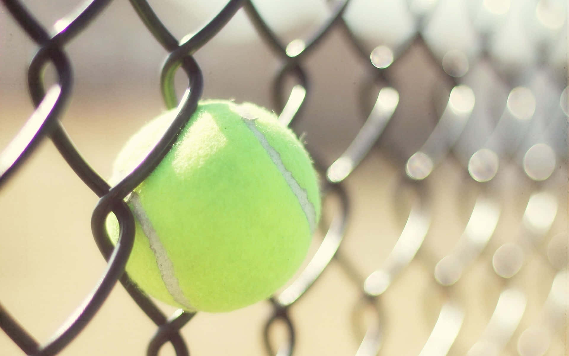 Enfräsch, Studsande Tennisboll Väntar På Sitt Nästa Matchspel. Wallpaper