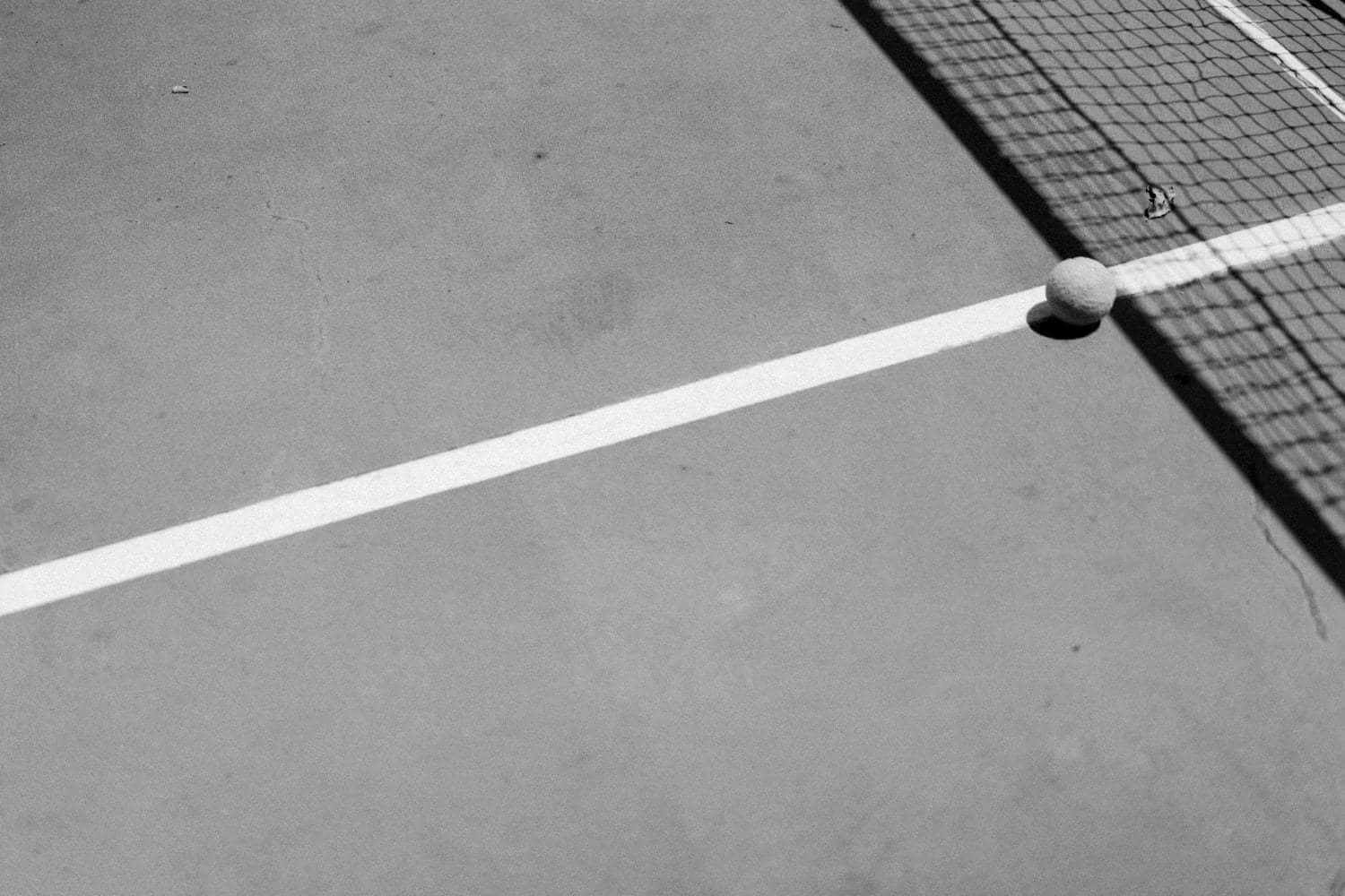 Tennis Ball Near Net Monochrome Wallpaper