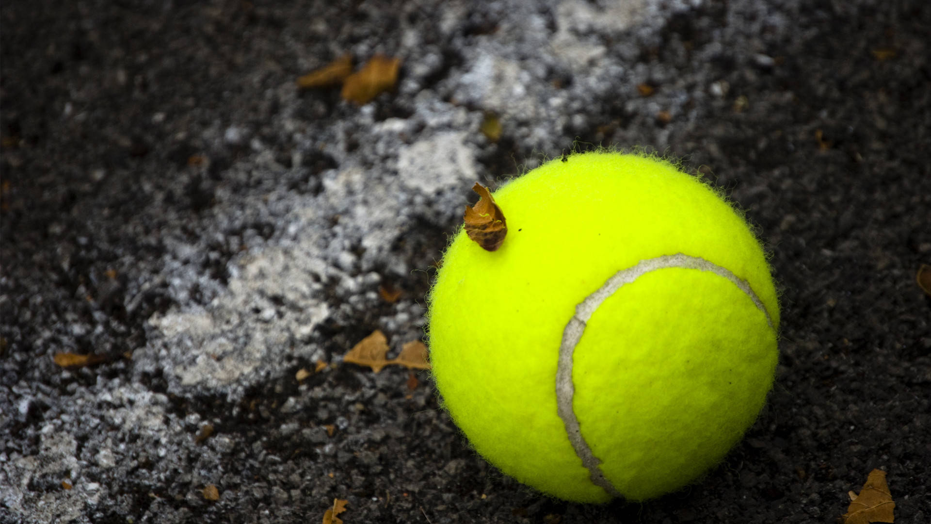 Tennis Ball On Dirty Ground Wallpaper