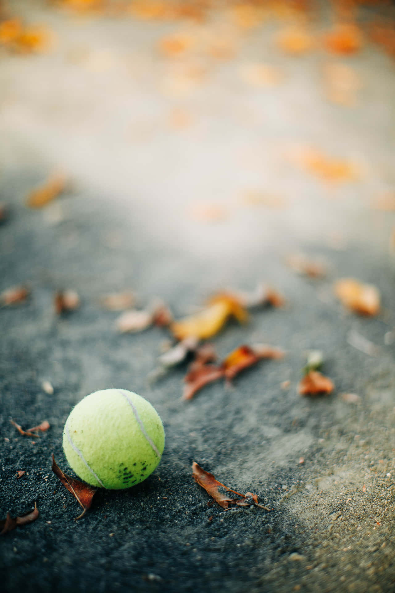 Eingelber Tennisball Bereit Für Eine Partie Tennis. Wallpaper