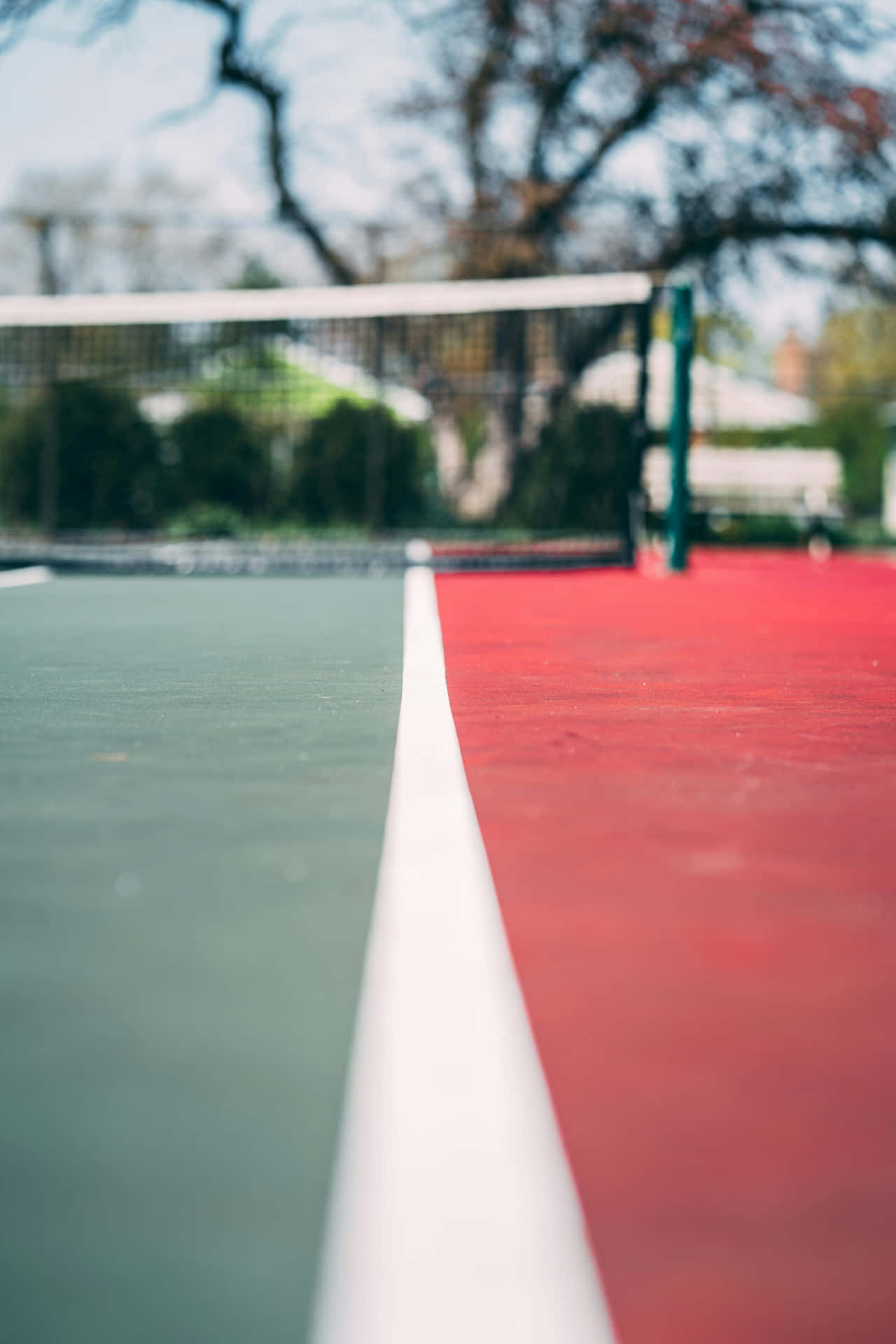 Tennis Court Lineand Net Aesthetic Wallpaper