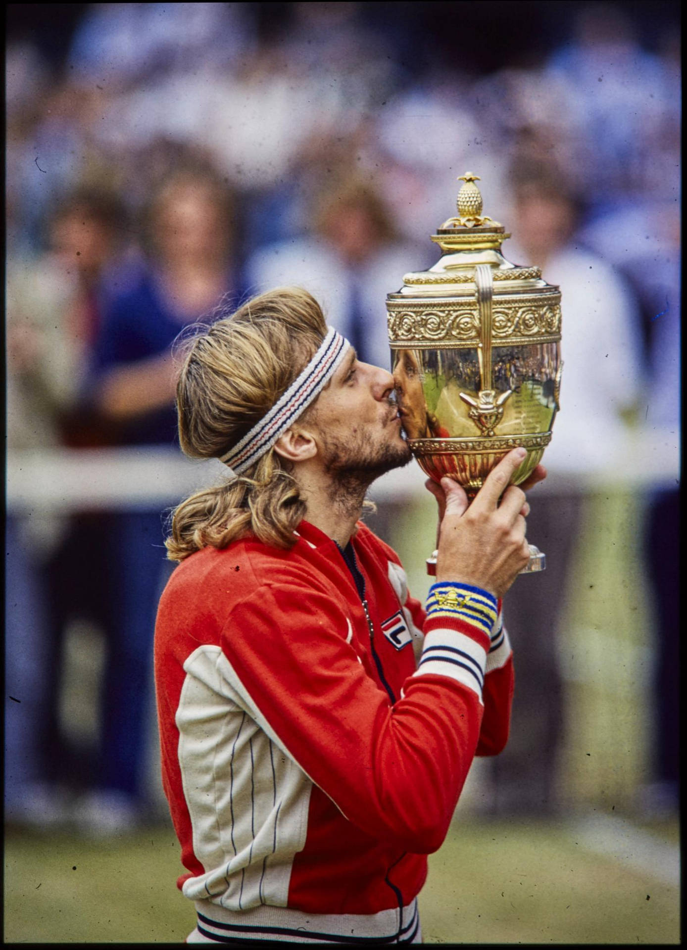 Tennis Gentlemen's Singles Trophy Björn Borg Wallpaper