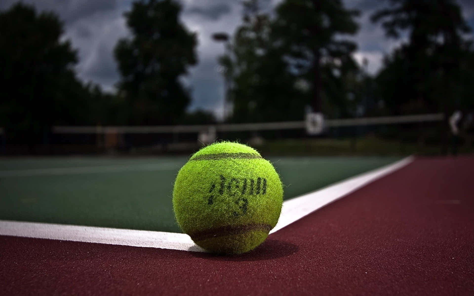 En~~tennisbold~~ Tenniskugle Sidder På En Tennisbane.