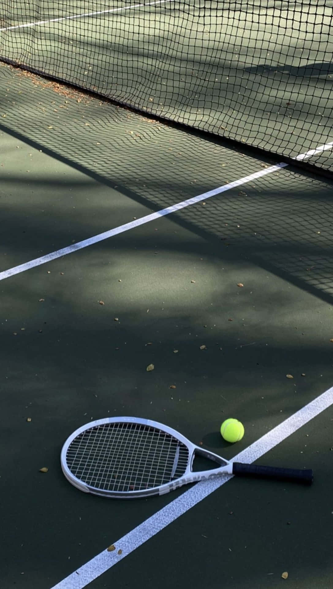 Tennis Racketand Ballon Court Wallpaper