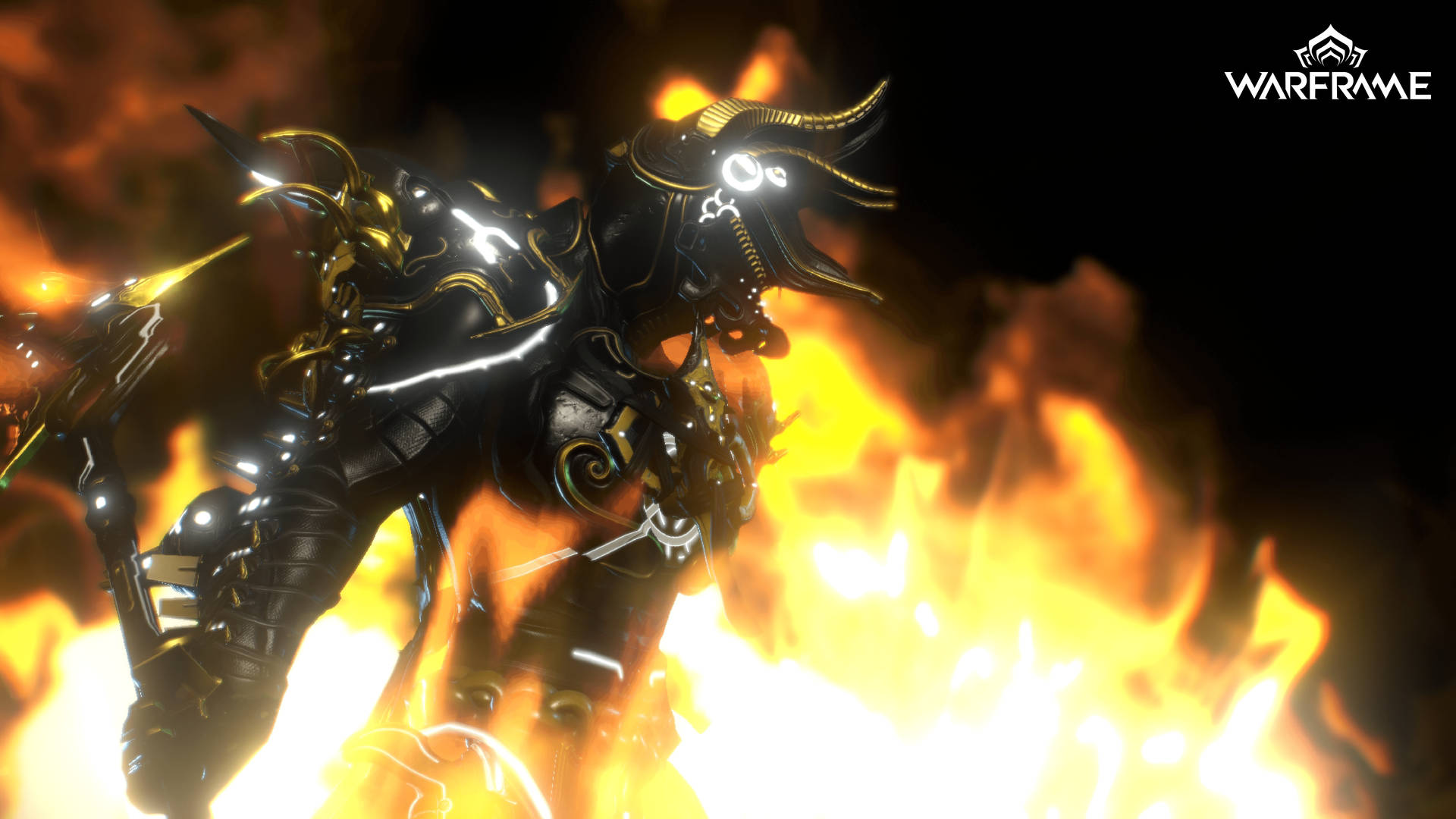 Warframe Tenno ancient soldier with black gold armored body consumed by a blazing fire wallpaper. 