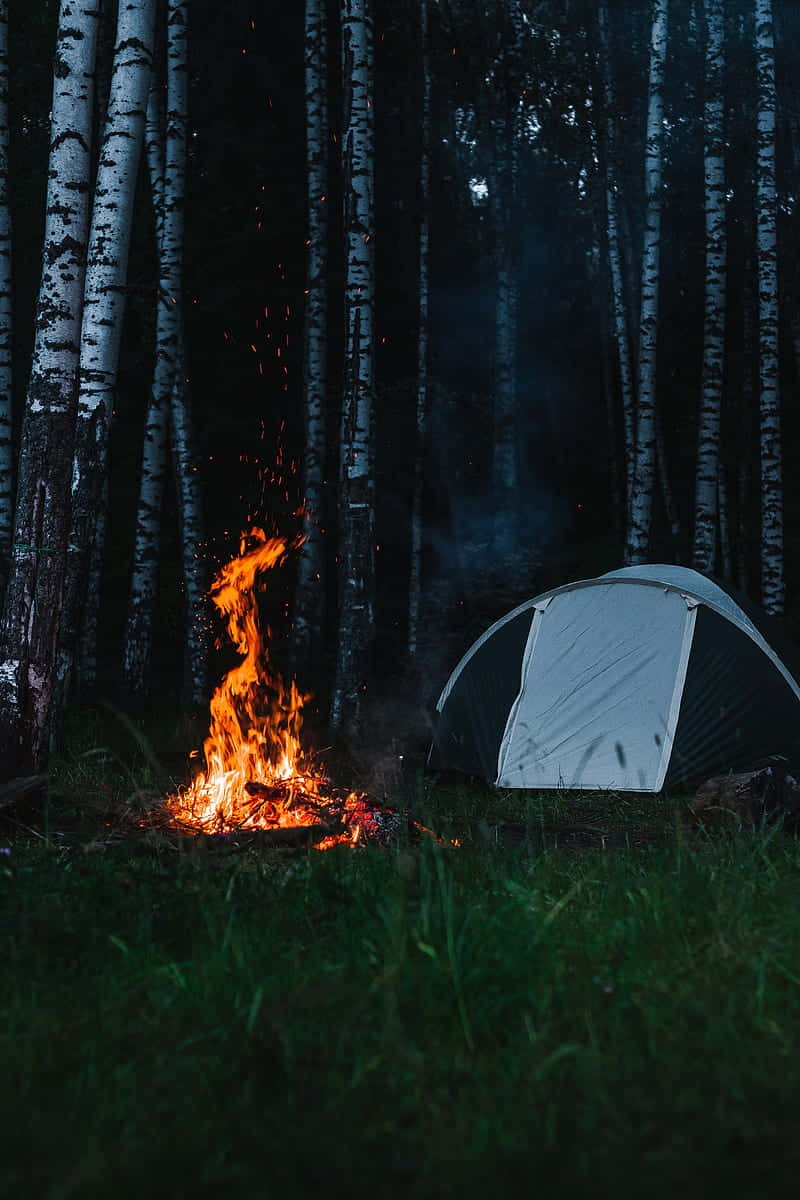 Tent And Bonfire Wallpaper