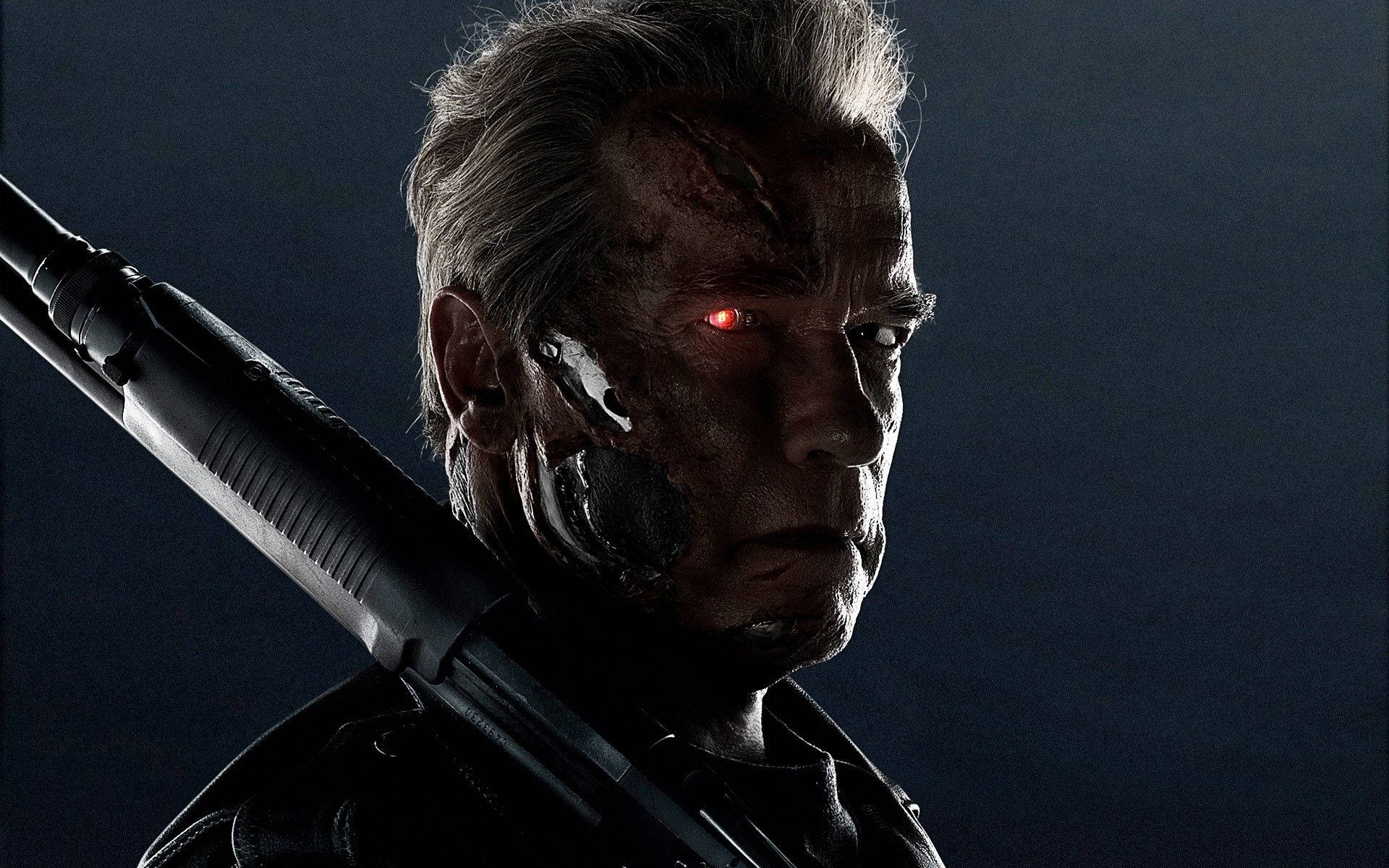 Terminator Arnold Schwarzenegger T 800
