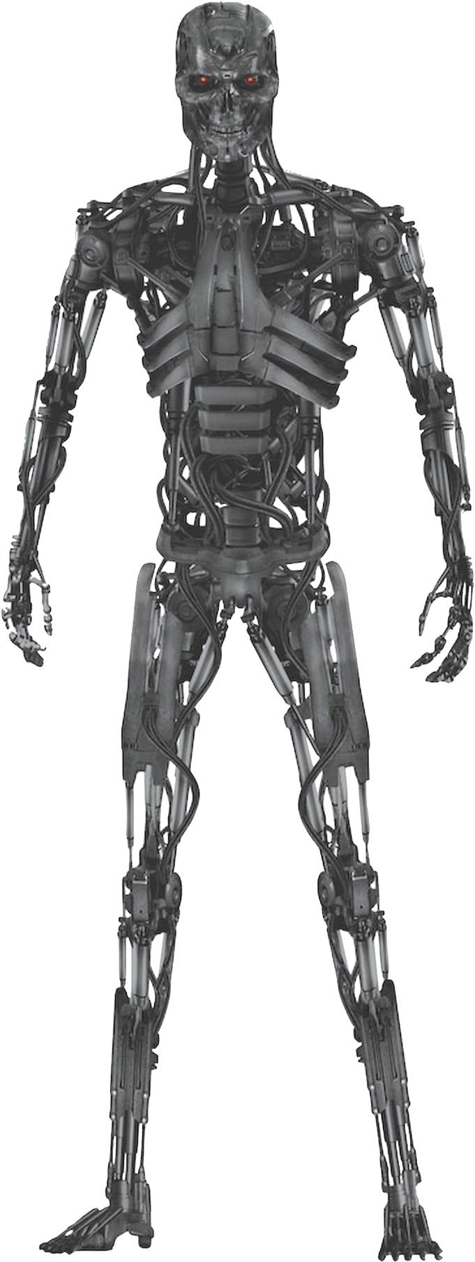 Terminator Endoskeleton Standing Pose PNG