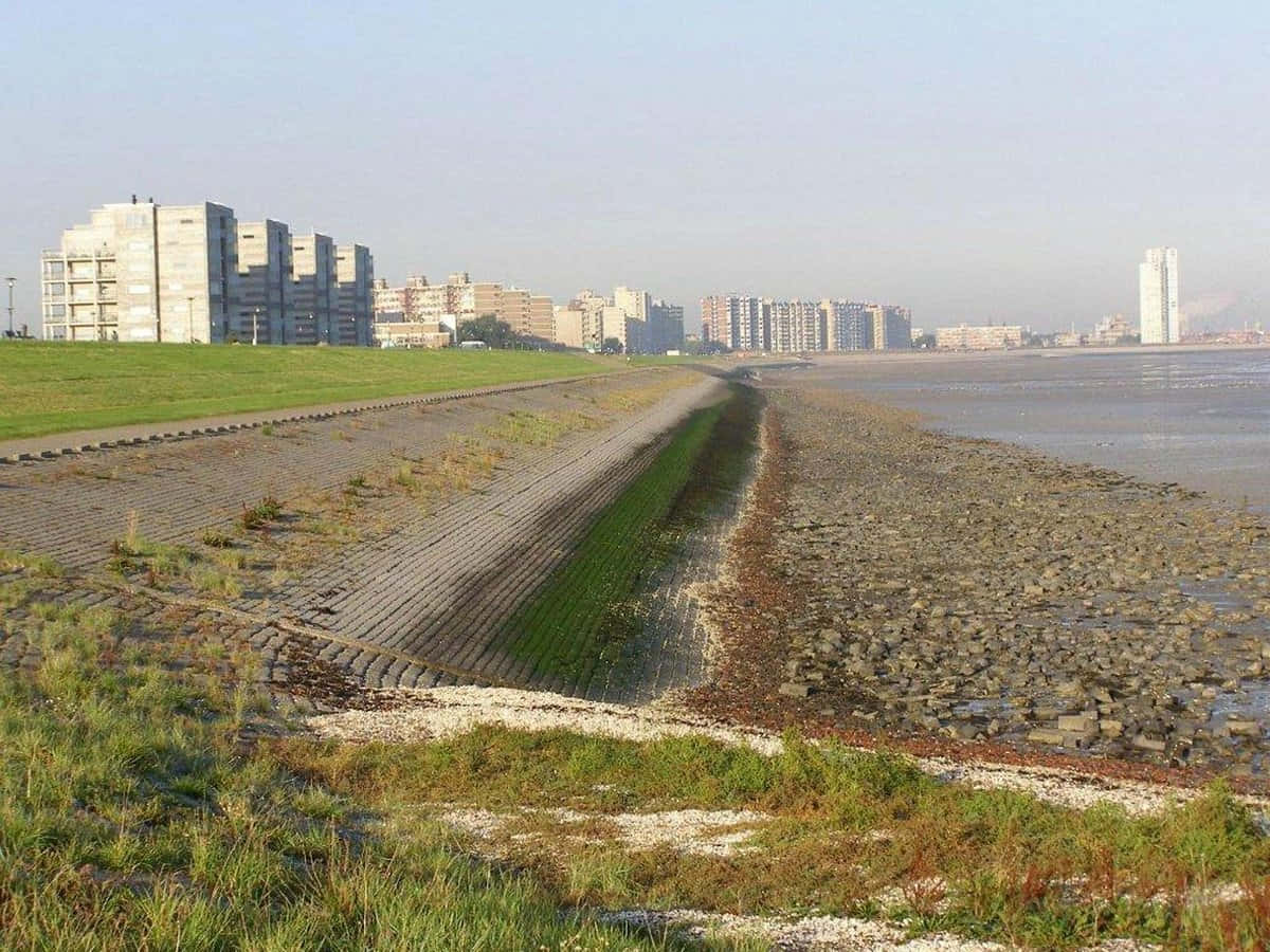 Terneuzen Kystlinje Urban Utsikt Bakgrunnsbildet