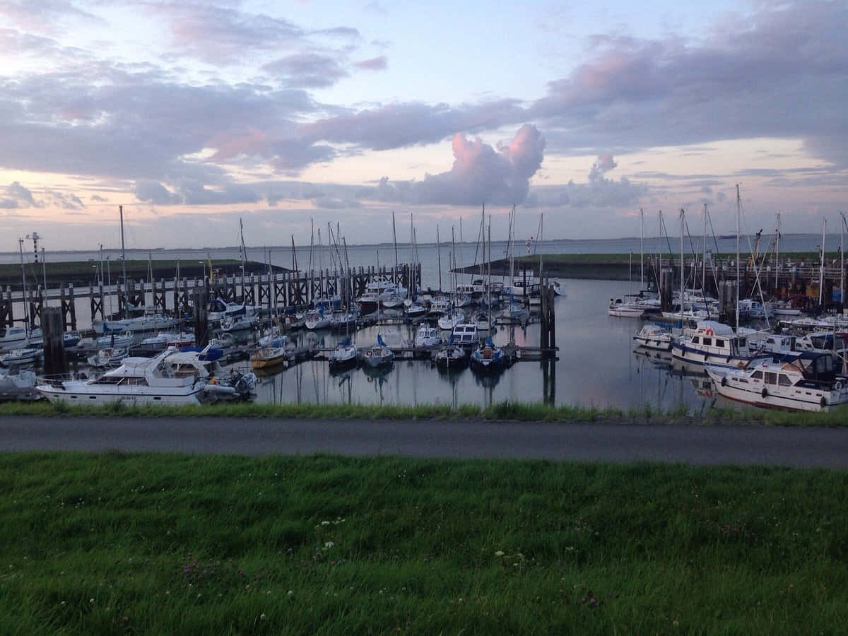 Terneuzen Marina Skumringsutsikt Bakgrunnsbildet