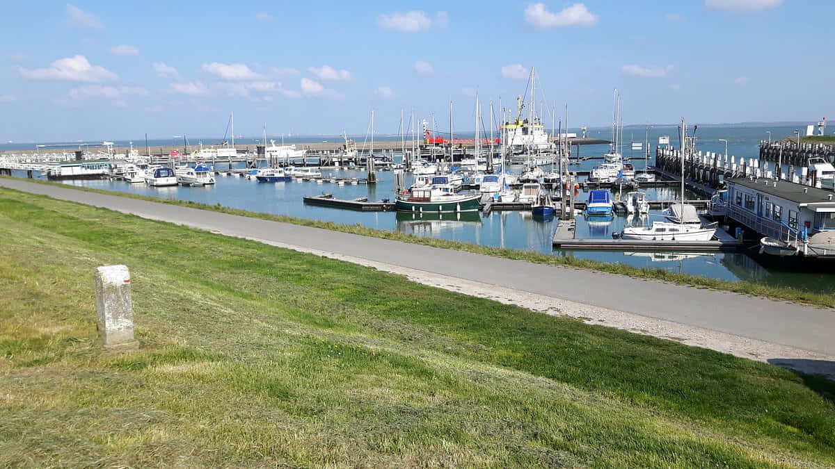 Terneuzen Marina Solfylt Dag Bakgrunnsbildet