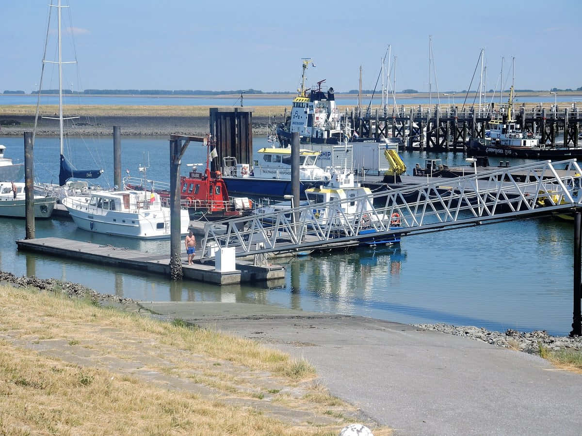 Terneuzen Marina Solfylt Dag Bakgrunnsbildet