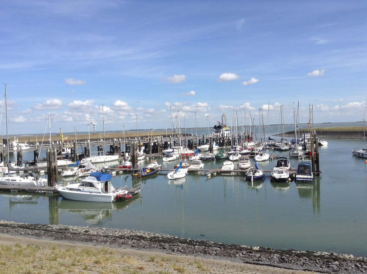 Terneuzen Marina Solfylt Dag Bakgrunnsbildet