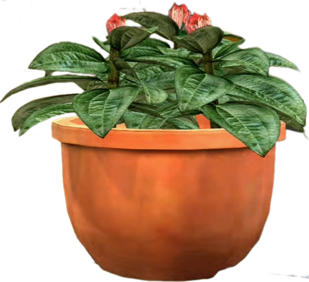 Terracotta Plant Potwith Flowering Plant PNG