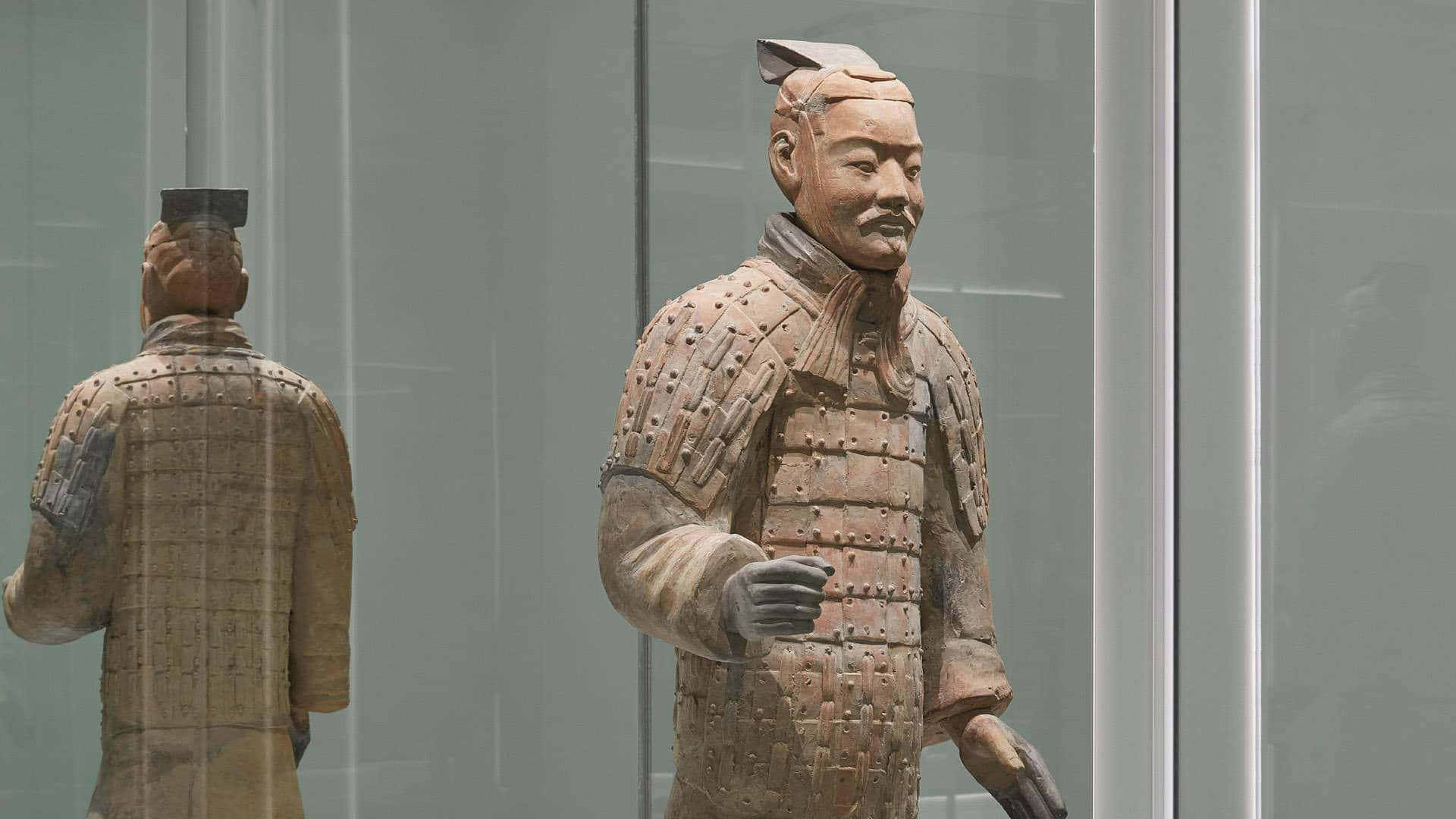 Terracotta Warriors Museum Statue China Wallpaper