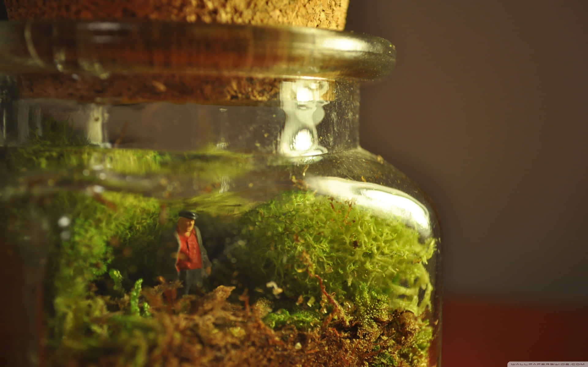 A Jar With Moss And A Small Figurine Inside