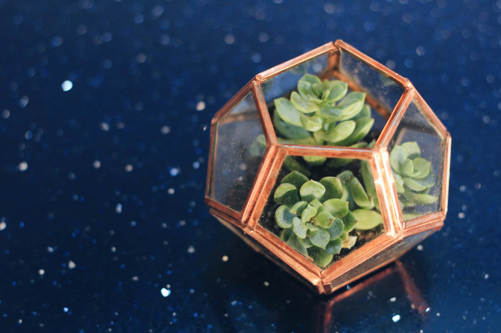 A Copper Hexagonal Planter With Succulents On A Blue Background