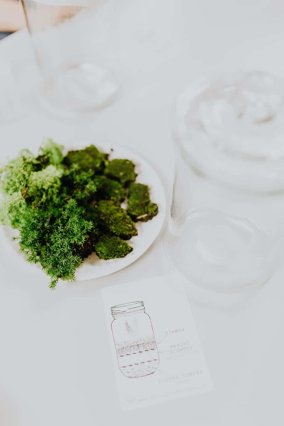A Plate With Moss And A Card On It