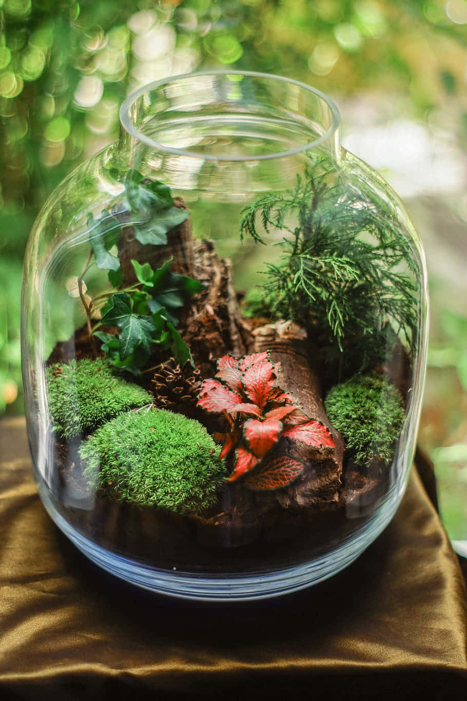 A Terrarium With Moss And Plants In It