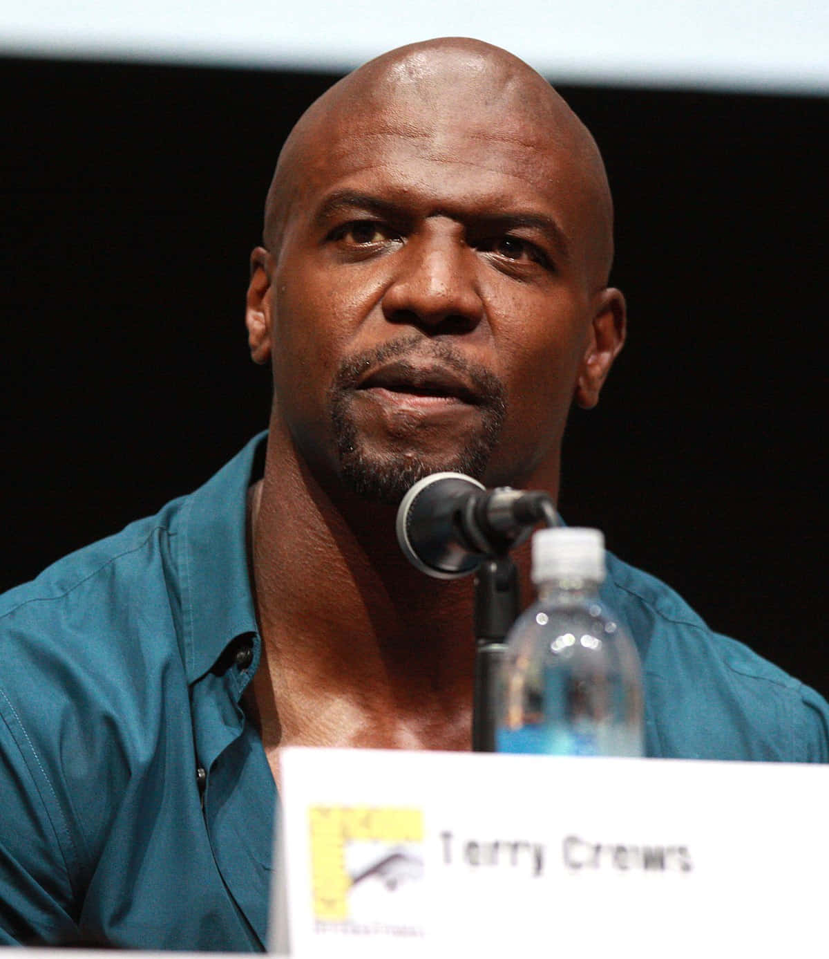 Terry Crews - Actor and former NFL Player Wallpaper