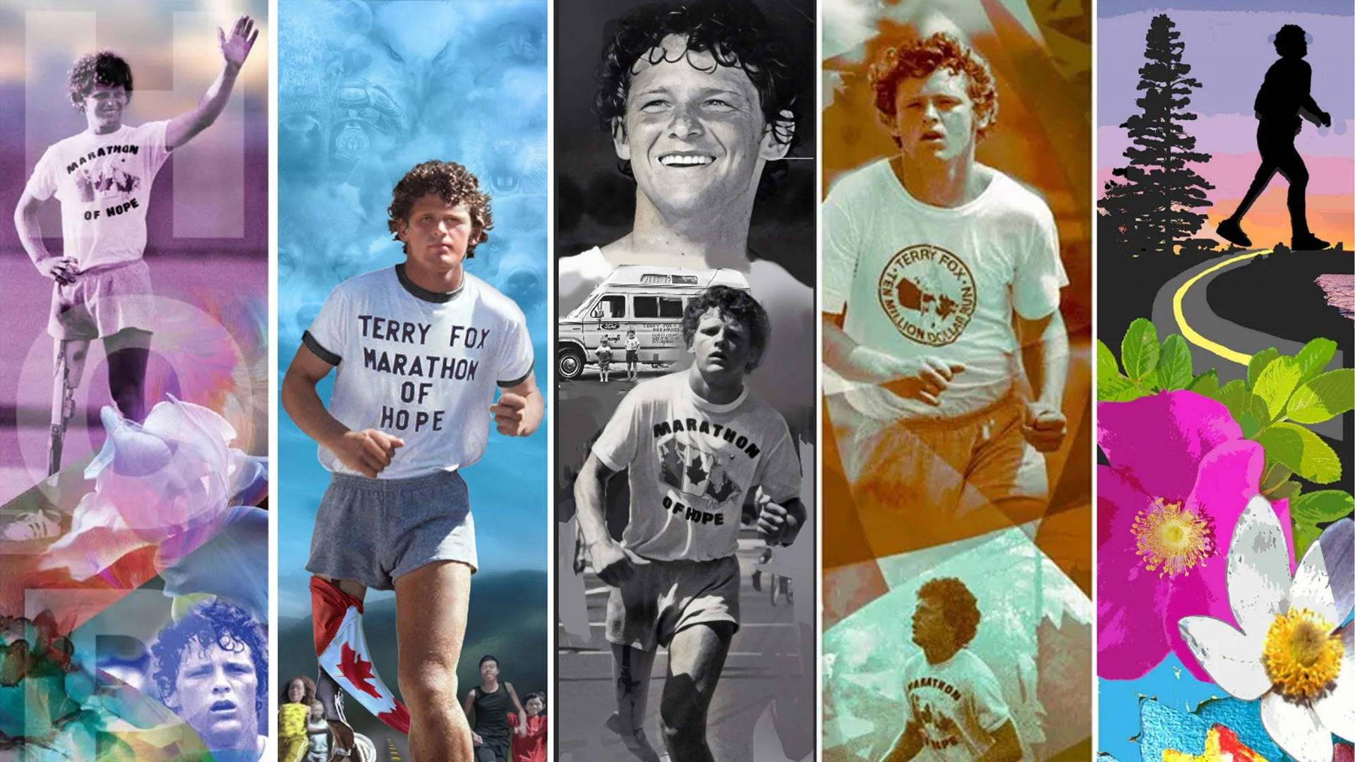 Terry Fox Canadian Athlete Wallpaper