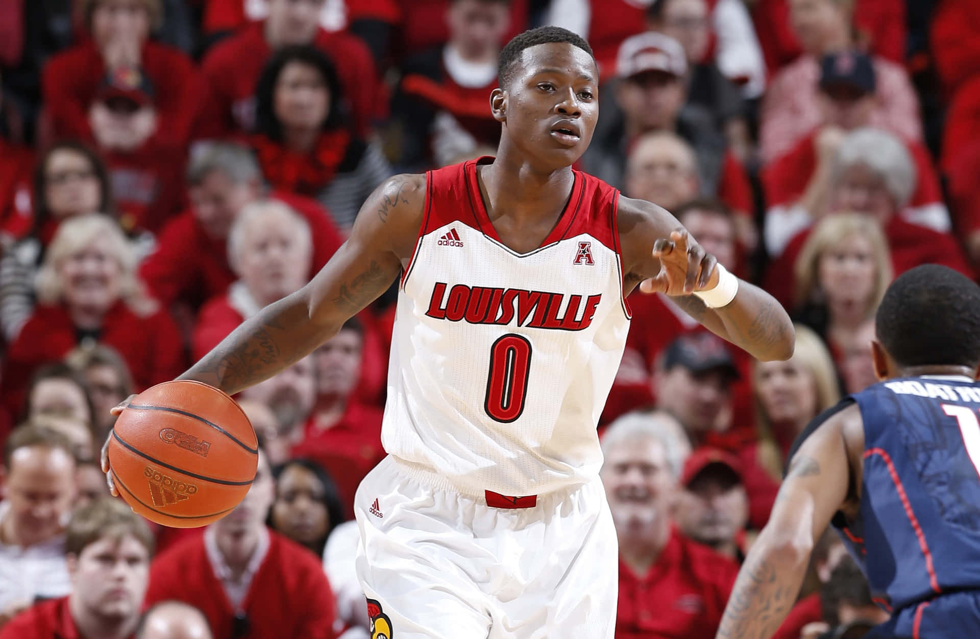 Terryrozier Louisville Cardinals Can Be Translated To Italian As 