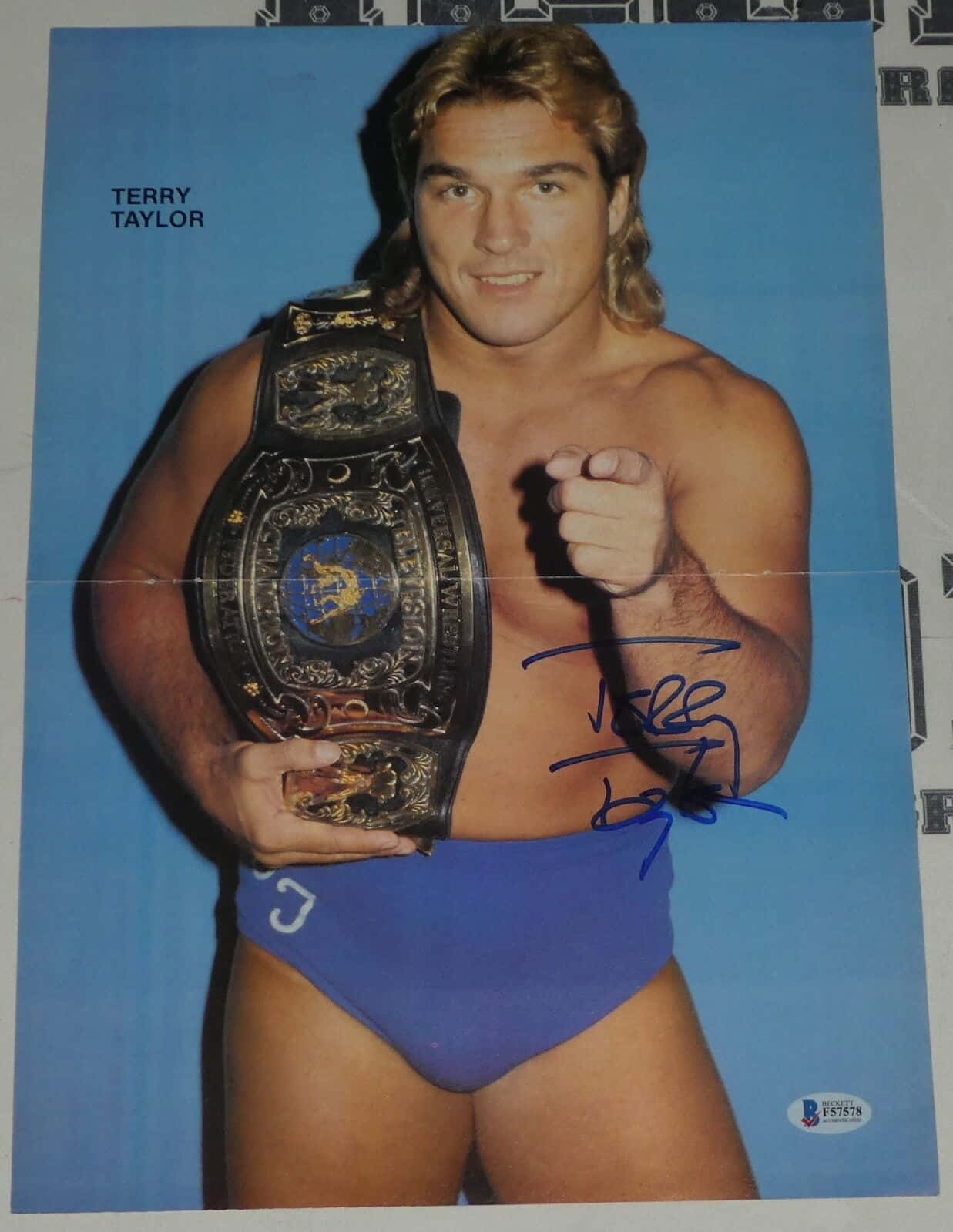 Terry Taylor Blue Wrestling Brief Wallpaper