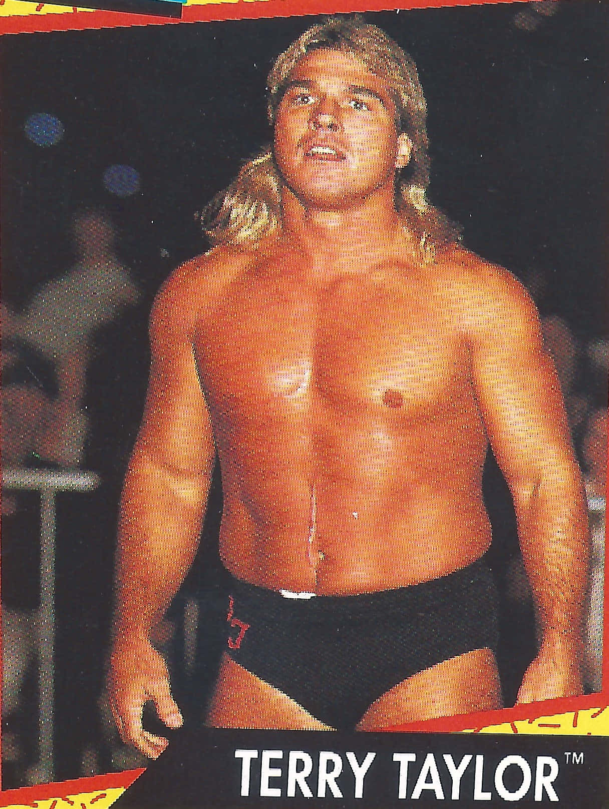 Terry Taylor Classic Wrestling Wallpaper