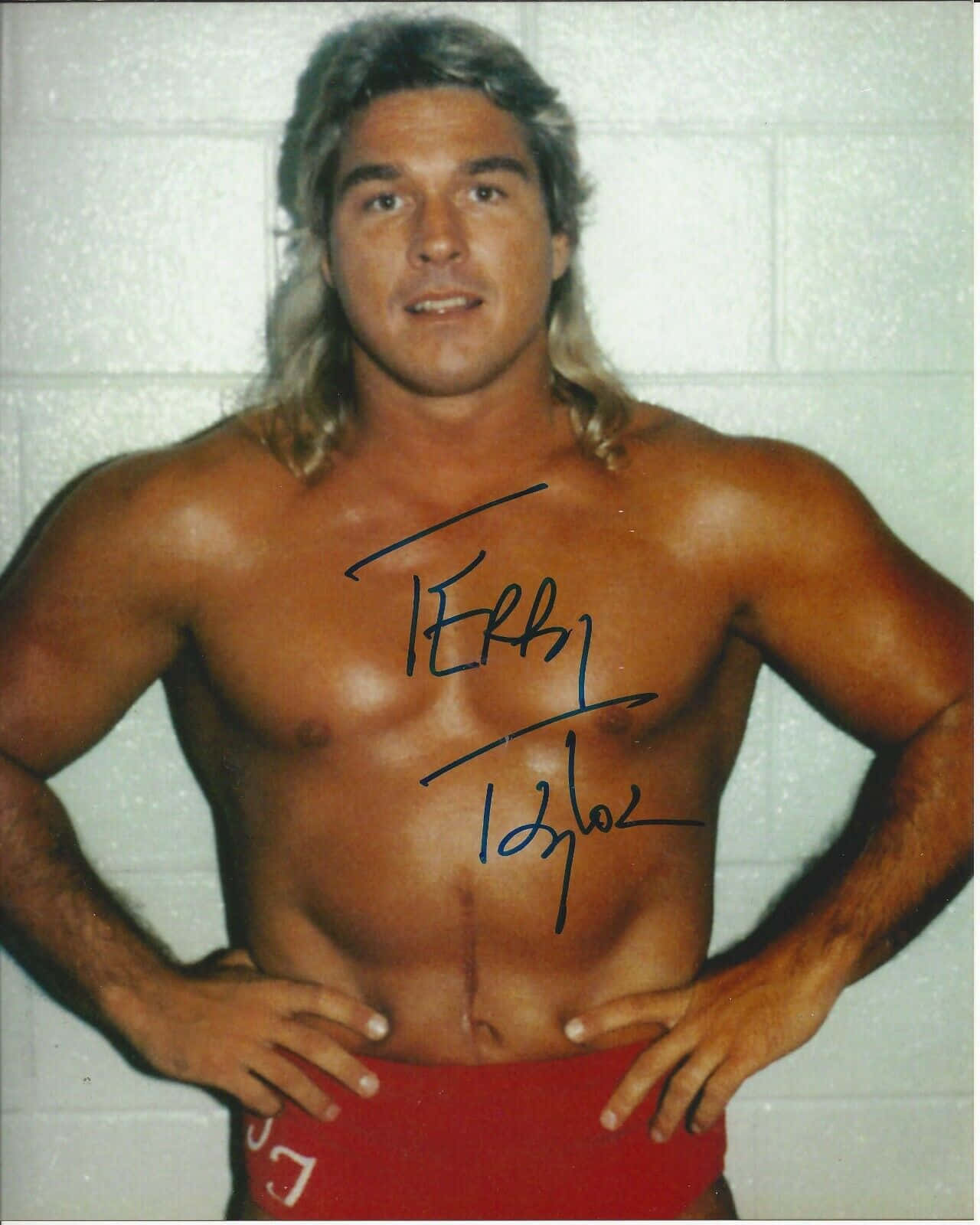 Terry Taylor Mullet Hairstyle Wallpaper