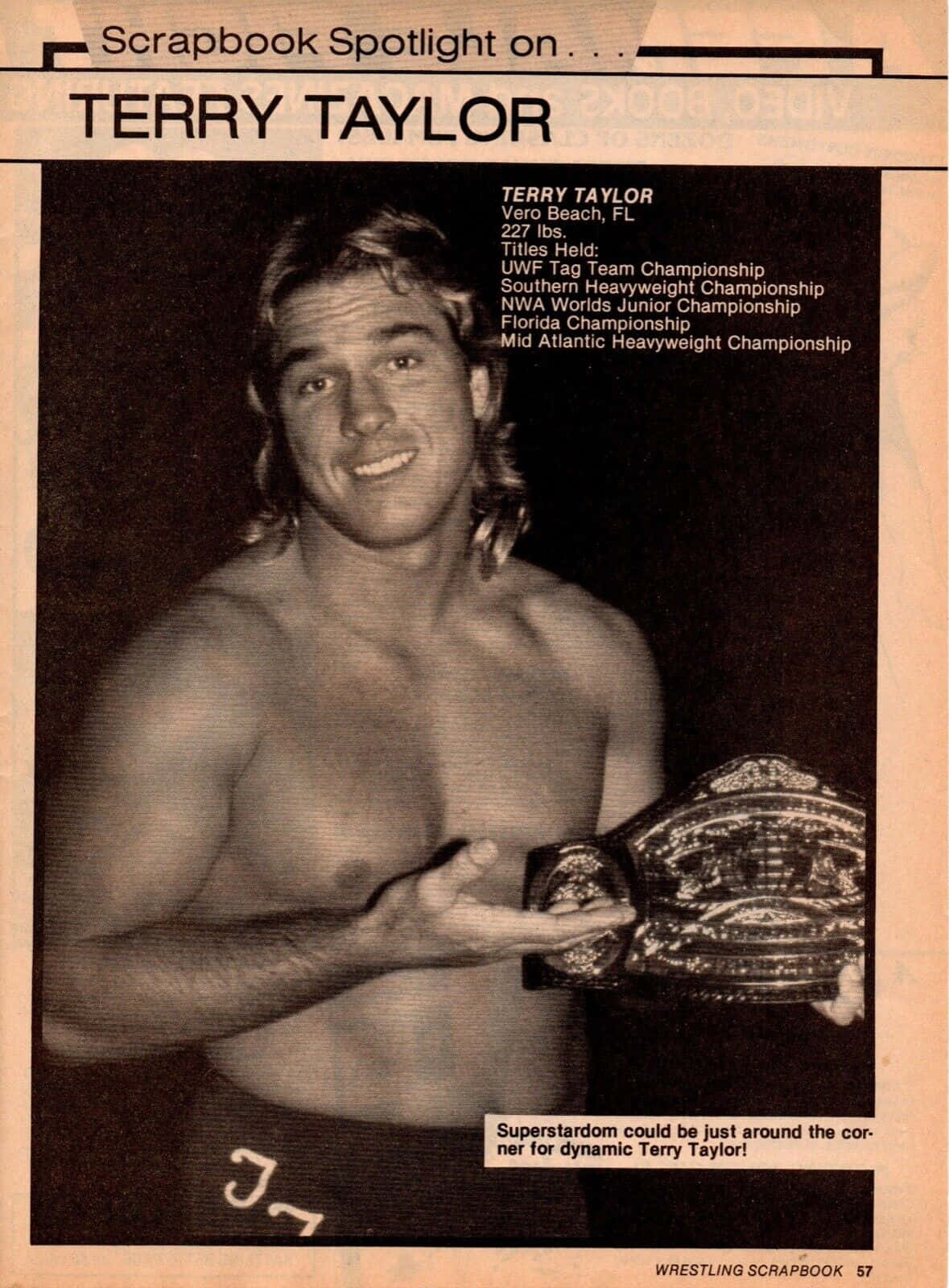 Terry Taylor Scrapbook Page Wallpaper